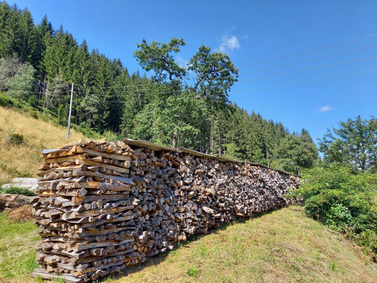 Landhaus Gruenjuwel Himmelberg Екстериор снимка