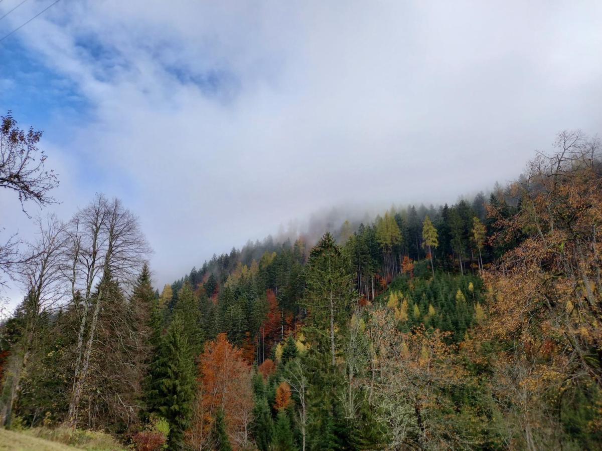 Landhaus Gruenjuwel Himmelberg Екстериор снимка