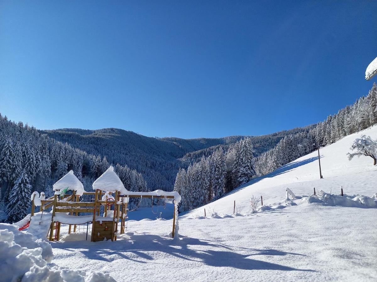 Landhaus Gruenjuwel Himmelberg Екстериор снимка