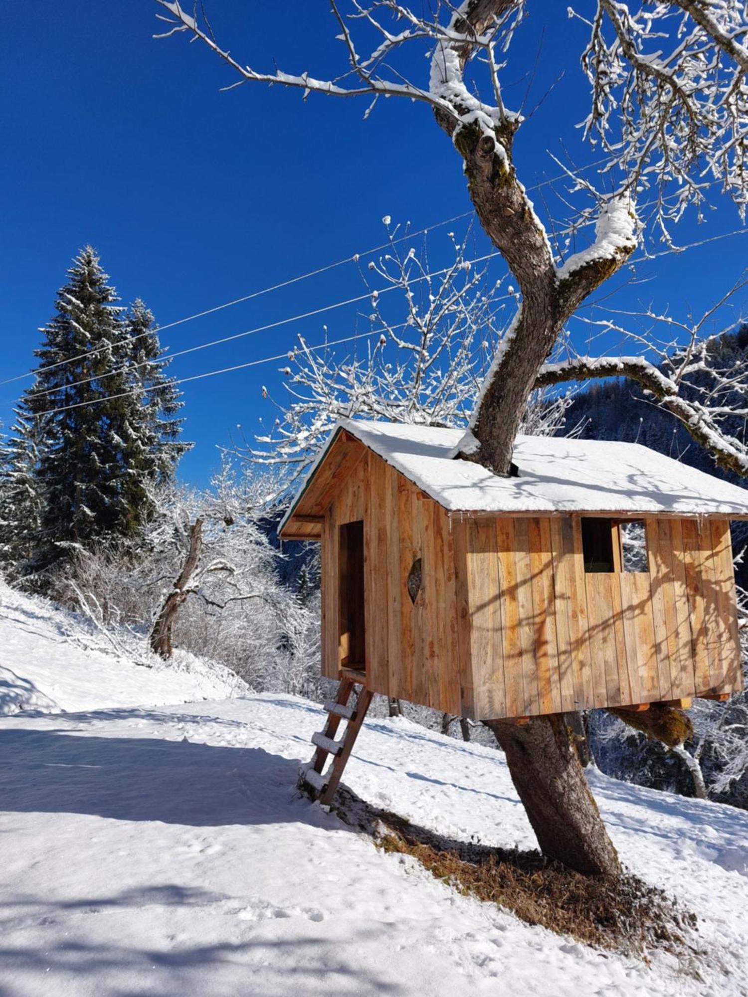 Landhaus Gruenjuwel Himmelberg Екстериор снимка