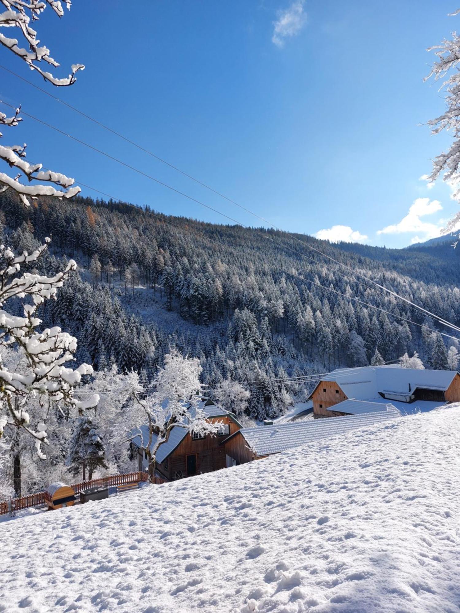 Landhaus Gruenjuwel Himmelberg Екстериор снимка