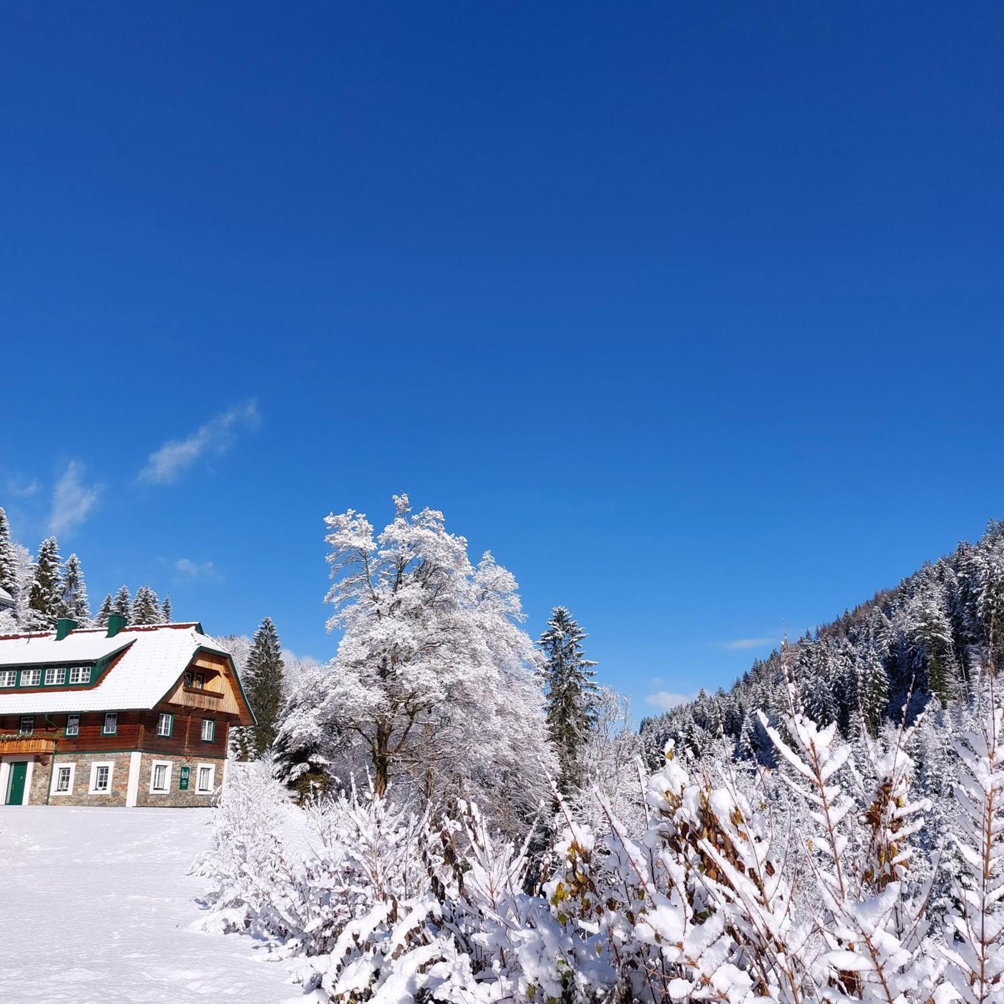 Landhaus Gruenjuwel Himmelberg Екстериор снимка