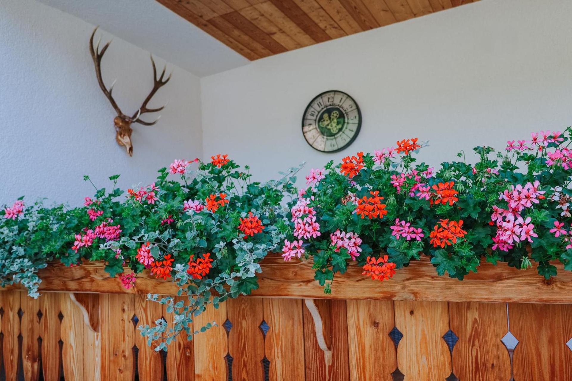 Landhaus Gruenjuwel Himmelberg Екстериор снимка